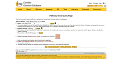 Desktop Screenshot of pathway.candidagenome.org